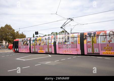 Sydney CBD Stadtbahn auf der Anzac Parade in Kensington östlichen Vororten, führt Scape Werbung für Studentenwohnheime in Sydney, NSW, Australien Stockfoto