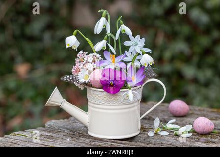 Blumenarrangements mit rosa und weißen Frühlingsblumen in dekorativer Gießkanne Stockfoto