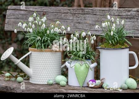 Frühlingsgarten mit Schneeglöckchen in Vintage-Töpfen Stockfoto