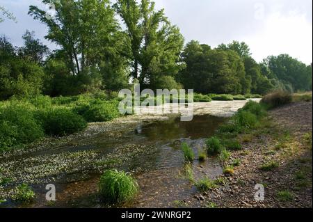 Frühlingslandschaft in der Nähe von Aldea del Fresno und der Flora des Flusses Alberche in zentralspanien Stockfoto