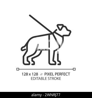 Lineares Symbol für Führungshund Stock Vektor