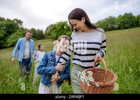 Die Familie läuft durch den Wald, geht durch die Wiese. Pilze sammeln, Kräuter sammeln, Blumen im Korb sammeln, Futter sammeln. Konzept des familiären ökologischen Hobbys in Stockfoto