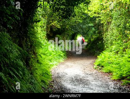 Zwei Rucksacktouristen auf einer unbefestigten Straße Stockfoto