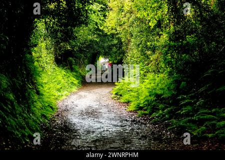 Zwei Rucksacktouristen auf einer unbefestigten Straße Stockfoto