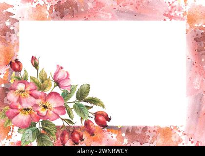 Wilde Rosenhüft mit Knospen, Beeren, Blüte und Blättern. Hundeschlitz- oder brier-Rose-Banner auf Aquarellflecken im Hintergrund. Botanisches Clipart für Karte Stockfoto