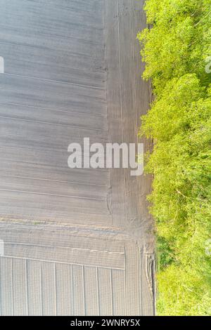 Dröhnenansicht eines gepflügten landwirtschaftlichen Feldes mit Bäumen am Feldrand, vertikale Ansicht Stockfoto