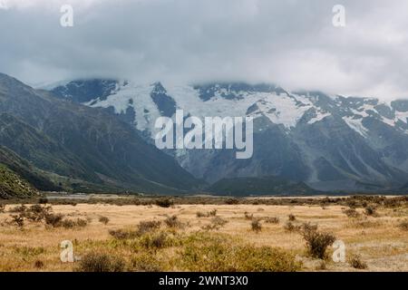 NZ Schnee und Gletscher bedeckt Berg mit trockenem Gras darunter Stockfoto