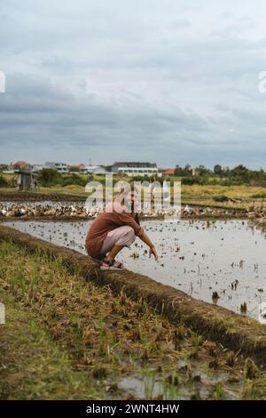 Langhaariger Mann auf einer Entenfarm. Enten in einem Reisfeld Bali Stockfoto