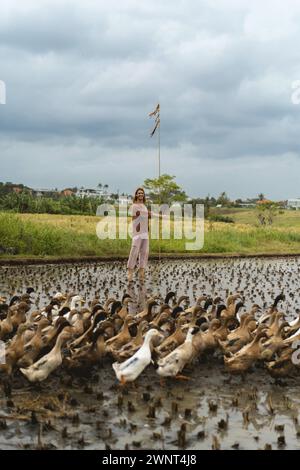 Langhaariger Mann auf einer Entenfarm. Enten in einem Reisfeld Bali Stockfoto