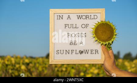 IN Einer WELT VOLLER ROSEN IST Ein SONNENBLUMENTEXT auf weißem Tafel neben dem Sonnenblumenfeld. Sonniger Sommertag. Inspirierendes Zitat zur Motivationsunterschrift. Ein einzigartiges Konzept Stockfoto