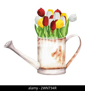 Handgezeichnete Aquarellillustration. Rostige Gießkanne aus Metall mit einem Haufen bunter roter, weißer und gelber Tulpen Stockfoto