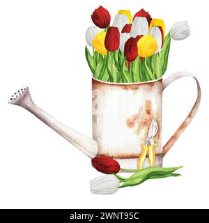 Handgezeichnete Aquarellillustration. Rostige Gießkanne aus Metall mit einem Haufen bunten roten, weißen und gelben Tulpen und Scheren Stockfoto