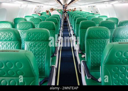 In einer leeren Flugzeugkabine eines Transavia-Flugzeugs mit grünen Sitzen Stockfoto
