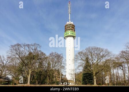 Ein Telekommunikationsturm (Zendmast Markelo, das höchste Gebäude in Overijssel) mit Antennen und Schüsseln vor einem klaren blauen Himmel, umgeben von Bäumen. Stockfoto