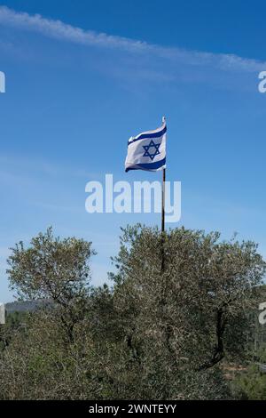 Eine israelische Flagge, die auf einem Olivenbaum in den Bergen von Judäa bei Jerusalem, Israel, gehisst wird. Stockfoto