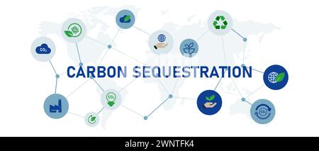 Kohlenstoffsequestrierung ökologisch freundlich natürliche Umwelt ökologischer Schutz weltweit Stock Vektor