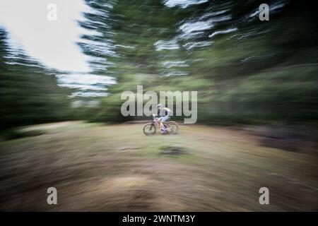 Bewegungsunschärfe. Radfahrer, der draußen mit dem E-Mountainbike fährt. Männliche Touristen fahren auf dem Weg im Wald. Konzept von Sport, aktiver Freizeit und Natur. Stockfoto