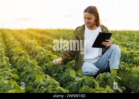 Moderne Agrarwirtschaft. Landwirtin mit digitaler Tablette untersucht und prüft grüne Blätter von Sojabohnenpflanzen auf dem Feld. Agronomist kontrolliert Wachstum und Stockfoto