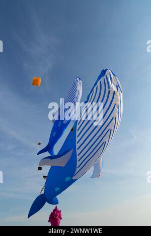 20. Januar Abudhabitische VAE. Wunderschöne und verschiedene Arten von Kites vom Kite Festival in Abudhabi Stockfoto