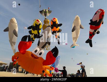 20. Januar Abudhabitische VAE. Wunderschöne und verschiedene Arten von Kites vom Kite Festival in Abudhabi Stockfoto