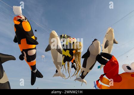 20. Januar Abudhabitische VAE. Wunderschöne und verschiedene Arten von Kites vom Kite Festival in Abudhabi Stockfoto