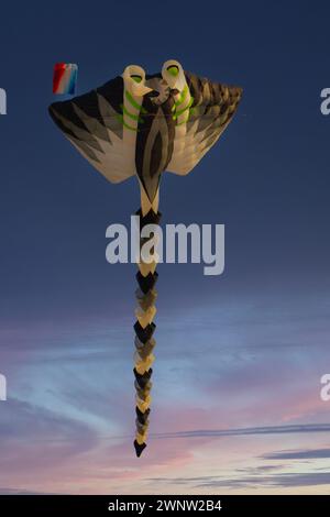 20. Januar Abudhabitische VAE. Wunderschöne und verschiedene Arten von Kites vom Kite Festival in Abudhabi Stockfoto