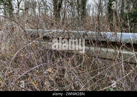 Reste eine Straße, Sackgasse. Ueberwucherte Leitplanke in einer abgebrochenen Straße im Hambacher Forst beim Tagebau Hambach im Rheinischen Kohlerevier. *** Überreste einer straßensackten, todbewachsenen Absturzsperre in einer abgerissenen Straße im Hambachwald in der Nähe des Tagebaues Hambach im Rheinland Stockfoto