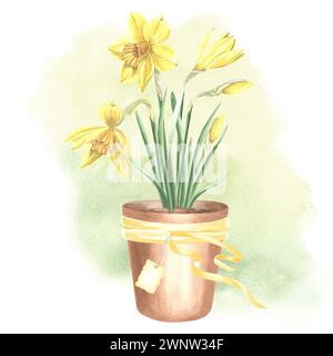 Gelbe Narzissen in Ton Blumentopf gebunden mit Band und Tag. Isolierte Hand gezeichnete Aquarell Illustration Frühling Narzisse Blumen Zeichnung Vorlage für Stockfoto