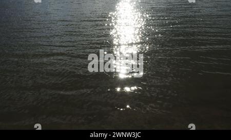 Wellen auf dem Wasser. Die Sonnenstrahlen fallen auf die Oberfläche des Flusses und werden zufällig reflektiert. Sonniger Pfad an der Save, Serbien. Das Wasser Stockfoto