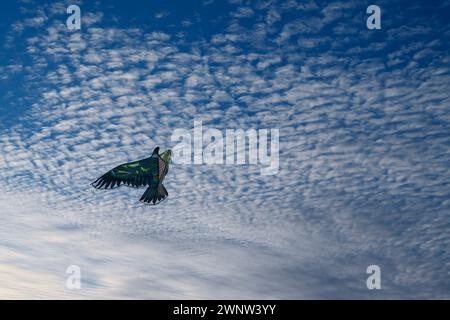 20. Januar Abudhabitische VAE. Wunderschöne und verschiedene Arten von Kites vom Kite Festival in Abudhabi Stockfoto