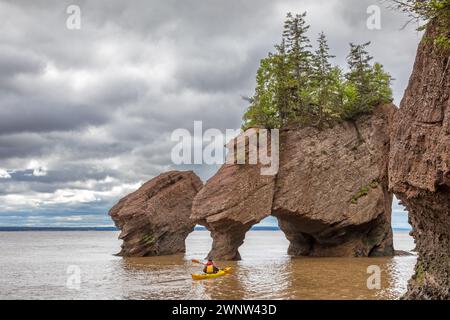 Kajakfahren in den Flower Pot Felsformationen in Hopewell Rocks, Bay of Fundy, New Brunswick. Die extreme Gezeitenreichweite der Bucht macht sie nur zugänglich Stockfoto