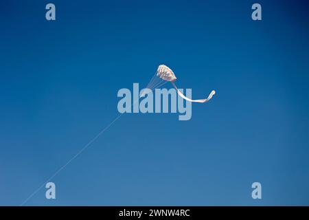 20. Januar Abudhabitische VAE. Wunderschöne und verschiedene Arten von Kites vom Kite Festival in Abudhabi Stockfoto