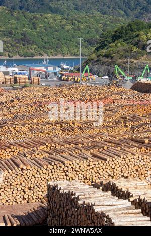 Eine große Anzahl von gehäuften Bäumen, Holz, gestapelt auf dem Dock in Picton, Neuseeland, bereit für die Exportindustrie Stockfoto