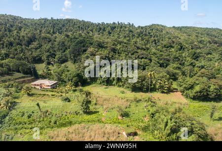 Ein Blick aus der Vogelperspektive auf die dicke Vegetation in einem ländlichen Gebiet von Dominica Stockfoto