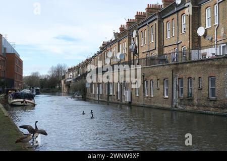 Ein Vogel spreizt seine Flügel auf dem Grand Union Canal mit der Rückseite einer Parade von Geschäften an der Harrow Road im Hintergrund, West London, Großbritannien Stockfoto