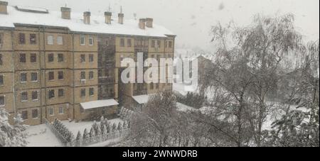 Sremska Mitrovica, Serbien, 12. Dezember 2021. Invasion eines Schneestyklons. Frischer weißer Schnee bedeckte den Innenhof und geparkte Autos. Wintertag Stockfoto