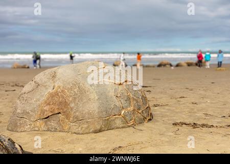 Ein Teil des Koekohe Strandes mit den geheimnisvollen Moeraki Felsbrocken auf der Südinsel Neuseelands. Die großen Felsbrocken sind ungewöhnlich kugelförmig. Stockfoto