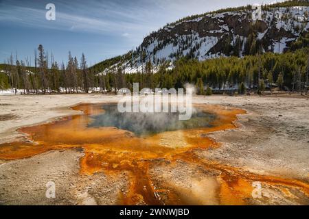 Lebendige heiße Quelle mit dampfendem Wasser, umgeben von farbenfrohen Mineralvorkommen im Yellowstone-Nationalpark Stockfoto