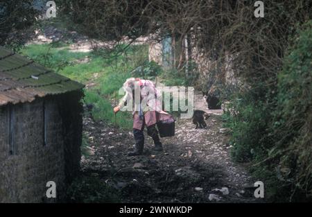 Helen Parfitt füttert die Katzen. Spargrove Manor House, Batcombe, Somerset. 1988 1980er Jahre Großbritannien. Das heruntergekommene, mit Wassergraben versehene Manor House wurde von den zurückgezogen lebenden Schwestern der Familie Parfitt besetzt, die in Armut lebten, während sie noch versuchten, ihre Farm zu erhalten. Das Herrenhaus war seit über 200 Jahren in ihrer Familie. HOMER SYKES Stockfoto