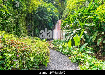 Wasserfall Soufriere, Saint Lucia, Westindien, Ostkaribik Stockfoto