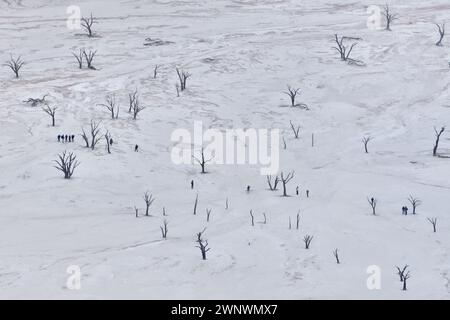 Arial Blick auf versteinerte Bäume in der Wüste Salzpfanne mit nicht identifizierbaren Menschen, Deadvlei, Namibia Stockfoto