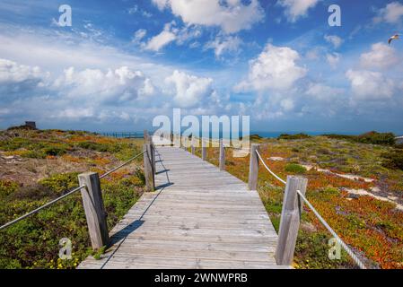 Die hölzerne Treppe an der felsigen Küste an einem sonnigen Tag. Polvoeira den Strand. Pataias, Portugal, Europa Stockfoto