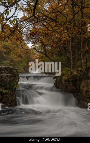 Herbstlicher Wasserfall entlang des Four Waterfalls Walk, Waterfall Country, Brecon Beacons National Park, South Wales, Großbritannien Stockfoto