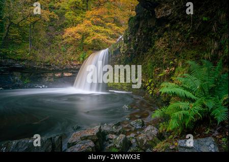 Herbstlicher Wasserfall entlang des Four Waterfalls Walk, Waterfall Country, Brecon Beacons National Park, South Wales, Großbritannien Stockfoto