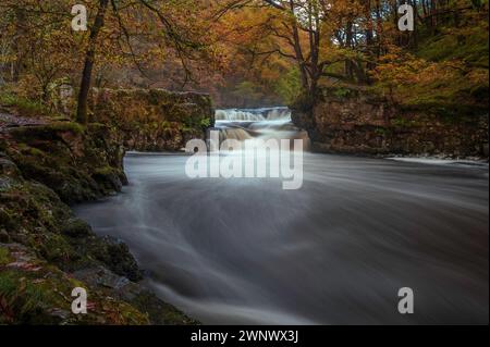 Herbstlicher Wasserfall entlang des Four Waterfalls Walk, Waterfall Country, Brecon Beacons National Park, South Wales, Großbritannien Stockfoto