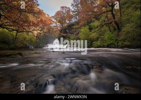 Herbstlicher Wasserfall entlang des Four Waterfalls Walk, Waterfall Country, Brecon Beacons National Park, South Wales, Großbritannien Stockfoto