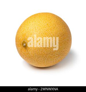 Einzelne ganze frische süße saftige Galia Melone isoliert auf weißem Hintergrund Nahaufnahme Stockfoto