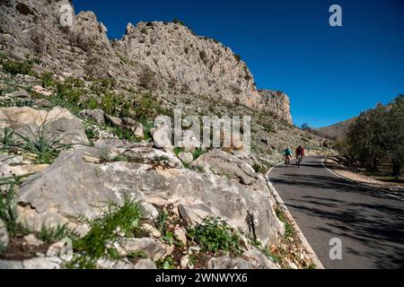 Junge und mittlere Erwachsene Freunde Radfahren auf der Rural Mountain Road, Alicante, Costa Blanca, Spanien – Stockfoto Stockfoto
