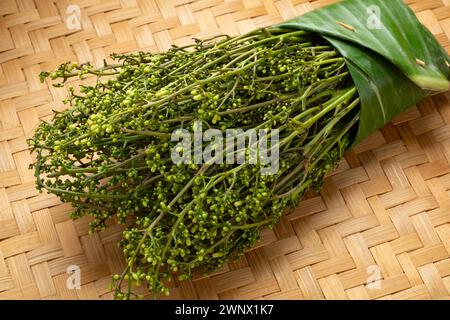 Frisches roh grünes Bouquet von Sadao-Blumen aus nächster Nähe Stockfoto