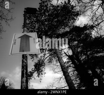 Parkschild nach oben Stockfoto